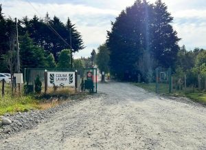 9adfb708-3146-479f-984d-c5992cdcf5cf (1)