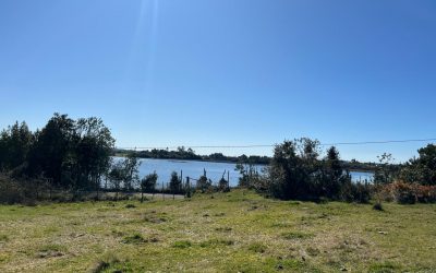 SE VENDE CAMPO DE  9.25 HÉCTAREAS-UBICADO EN HUELMO